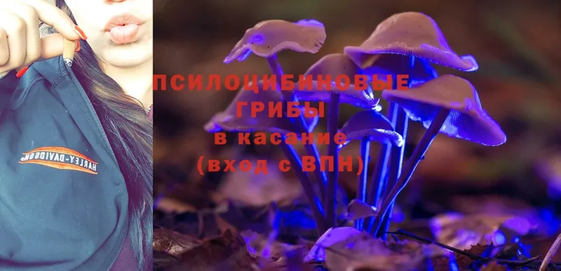 OMG сайт  Руза  Галлюциногенные грибы Magic Shrooms 